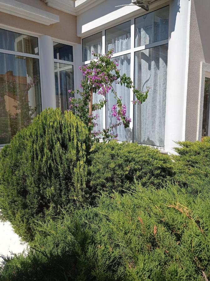PUY Villa Gregovica &T 2 מראה חיצוני תמונה